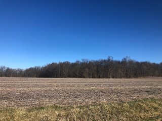 Property photo 14 - LAND AUCTION - 200+/- ACRES OFFERED IN 3 TRACTS IN WAYNE COUNTY, INDIANA
