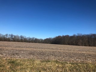 Property photo 13 - LAND AUCTION - 200+/- ACRES OFFERED IN 3 TRACTS IN WAYNE COUNTY, INDIANA