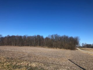 Property photo 12 - LAND AUCTION - 200+/- ACRES OFFERED IN 3 TRACTS IN WAYNE COUNTY, INDIANA