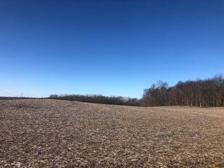 Property photo 10 - LAND AUCTION - 200+/- ACRES OFFERED IN 3 TRACTS IN WAYNE COUNTY, INDIANA