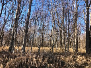 Property photo 9 - LAND AUCTION - 200+/- ACRES OFFERED IN 3 TRACTS IN WAYNE COUNTY, INDIANA