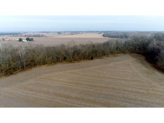 Property photo 17 - LAND AUCTION - 200+/- ACRES OFFERED IN 3 TRACTS IN WAYNE COUNTY, INDIANA