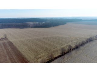 Property photo 18 - LAND AUCTION - 200+/- ACRES OFFERED IN 3 TRACTS IN WAYNE COUNTY, INDIANA