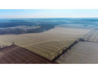 Property photo 19 - LAND AUCTION - 200+/- ACRES OFFERED IN 3 TRACTS IN WAYNE COUNTY, INDIANA
