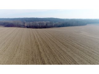 Property photo 20 - LAND AUCTION - 200+/- ACRES OFFERED IN 3 TRACTS IN WAYNE COUNTY, INDIANA
