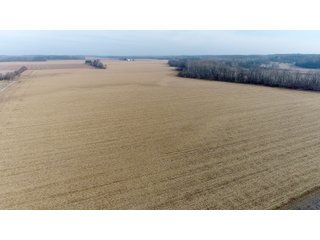Property photo 21 - LAND AUCTION - 200+/- ACRES OFFERED IN 3 TRACTS IN WAYNE COUNTY, INDIANA
