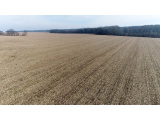 Property photo 23 - LAND AUCTION - 200+/- ACRES OFFERED IN 3 TRACTS IN WAYNE COUNTY, INDIANA