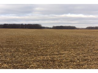 Farmland in Monroe & Washtenaw Counties, Michigan - ***SOLD PRIOR TO AUCTION*** - MICHIGAN LAND AUCTION - 1,436+/- ACRES OFFERED IN 26 TRACTS IN MONROE & WASHTENAW COUNTIES, MICHIGAN