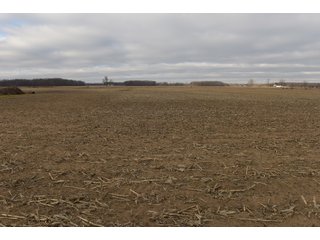 Farmland in Monroe & Washtenaw Counties, Michigan - ***SOLD PRIOR TO AUCTION*** - MICHIGAN LAND AUCTION - 1,436+/- ACRES OFFERED IN 26 TRACTS IN MONROE & WASHTENAW COUNTIES, MICHIGAN