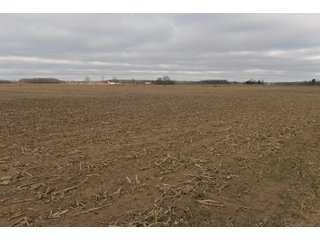 Farmland in Monroe & Washtenaw Counties, Michigan - ***SOLD PRIOR TO AUCTION*** - MICHIGAN LAND AUCTION - 1,436+/- ACRES OFFERED IN 26 TRACTS IN MONROE & WASHTENAW COUNTIES, MICHIGAN