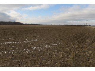 Farmland in Monroe & Washtenaw Counties, Michigan - ***SOLD PRIOR TO AUCTION*** - MICHIGAN LAND AUCTION - 1,436+/- ACRES OFFERED IN 26 TRACTS IN MONROE & WASHTENAW COUNTIES, MICHIGAN