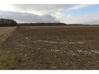 Farmland in Monroe & Washtenaw Counties, Michigan - ***SOLD PRIOR TO AUCTION*** - MICHIGAN LAND AUCTION - 1,436+/- ACRES OFFERED IN 26 TRACTS IN MONROE & WASHTENAW COUNTIES, MICHIGAN