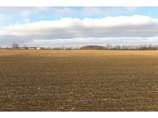Farmland in Monroe & Washtenaw Counties, Michigan - ***SOLD PRIOR TO AUCTION*** - MICHIGAN LAND AUCTION - 1,436+/- ACRES OFFERED IN 26 TRACTS IN MONROE & WASHTENAW COUNTIES, MICHIGAN