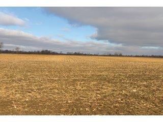 Farmland in Monroe & Washtenaw Counties, Michigan - ***SOLD PRIOR TO AUCTION*** - MICHIGAN LAND AUCTION - 1,436+/- ACRES OFFERED IN 26 TRACTS IN MONROE & WASHTENAW COUNTIES, MICHIGAN