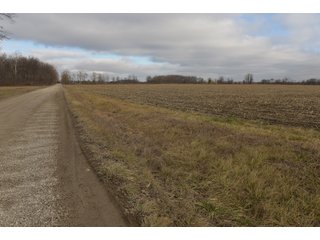 Farmland in Monroe & Washtenaw Counties, Michigan - ***SOLD PRIOR TO AUCTION*** - MICHIGAN LAND AUCTION - 1,436+/- ACRES OFFERED IN 26 TRACTS IN MONROE & WASHTENAW COUNTIES, MICHIGAN