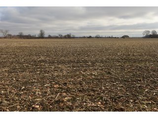 Farmland in Monroe & Washtenaw Counties, Michigan - ***SOLD PRIOR TO AUCTION*** - MICHIGAN LAND AUCTION - 1,436+/- ACRES OFFERED IN 26 TRACTS IN MONROE & WASHTENAW COUNTIES, MICHIGAN