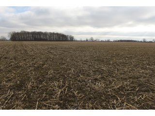 Farmland in Monroe & Washtenaw Counties, Michigan - ***SOLD PRIOR TO AUCTION*** - MICHIGAN LAND AUCTION - 1,436+/- ACRES OFFERED IN 26 TRACTS IN MONROE & WASHTENAW COUNTIES, MICHIGAN