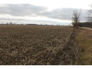 Farmland in Monroe & Washtenaw Counties, Michigan - ***SOLD PRIOR TO AUCTION*** - MICHIGAN LAND AUCTION - 1,436+/- ACRES OFFERED IN 26 TRACTS IN MONROE & WASHTENAW COUNTIES, MICHIGAN