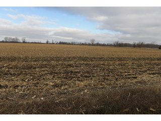 Farmland in Monroe & Washtenaw Counties, Michigan - ***SOLD PRIOR TO AUCTION*** - MICHIGAN LAND AUCTION - 1,436+/- ACRES OFFERED IN 26 TRACTS IN MONROE & WASHTENAW COUNTIES, MICHIGAN
