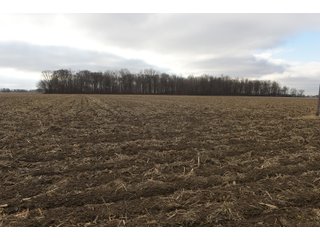 Farmland in Monroe & Washtenaw Counties, Michigan - ***SOLD PRIOR TO AUCTION*** - MICHIGAN LAND AUCTION - 1,436+/- ACRES OFFERED IN 26 TRACTS IN MONROE & WASHTENAW COUNTIES, MICHIGAN