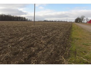 Farmland in Monroe & Washtenaw Counties, Michigan - ***SOLD PRIOR TO AUCTION*** - MICHIGAN LAND AUCTION - 1,436+/- ACRES OFFERED IN 26 TRACTS IN MONROE & WASHTENAW COUNTIES, MICHIGAN