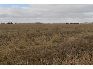 Farmland in Monroe & Washtenaw Counties, Michigan - ***SOLD PRIOR TO AUCTION*** - MICHIGAN LAND AUCTION - 1,436+/- ACRES OFFERED IN 26 TRACTS IN MONROE & WASHTENAW COUNTIES, MICHIGAN