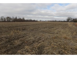 Farmland in Monroe & Washtenaw Counties, Michigan - ***SOLD PRIOR TO AUCTION*** - MICHIGAN LAND AUCTION - 1,436+/- ACRES OFFERED IN 26 TRACTS IN MONROE & WASHTENAW COUNTIES, MICHIGAN