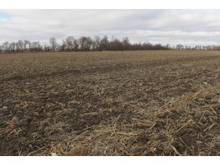 Farmland in Monroe & Washtenaw Counties, Michigan - ***SOLD PRIOR TO AUCTION*** - MICHIGAN LAND AUCTION - 1,436+/- ACRES OFFERED IN 26 TRACTS IN MONROE & WASHTENAW COUNTIES, MICHIGAN