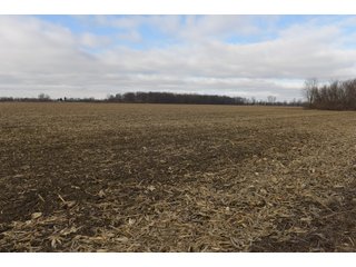 Farmland in Monroe & Washtenaw Counties, Michigan - ***SOLD PRIOR TO AUCTION*** - MICHIGAN LAND AUCTION - 1,436+/- ACRES OFFERED IN 26 TRACTS IN MONROE & WASHTENAW COUNTIES, MICHIGAN