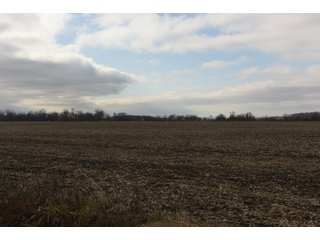 Farmland in Monroe & Washtenaw Counties, Michigan - ***SOLD PRIOR TO AUCTION*** - MICHIGAN LAND AUCTION - 1,436+/- ACRES OFFERED IN 26 TRACTS IN MONROE & WASHTENAW COUNTIES, MICHIGAN