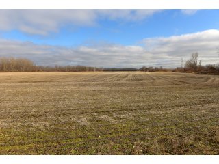 Farmland in Monroe & Washtenaw Counties, Michigan - ***SOLD PRIOR TO AUCTION*** - MICHIGAN LAND AUCTION - 1,436+/- ACRES OFFERED IN 26 TRACTS IN MONROE & WASHTENAW COUNTIES, MICHIGAN