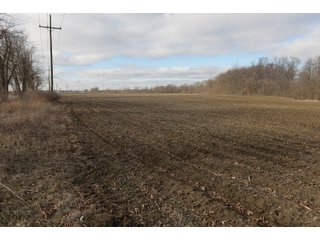 Farmland in Monroe & Washtenaw Counties, Michigan - ***SOLD PRIOR TO AUCTION*** - MICHIGAN LAND AUCTION - 1,436+/- ACRES OFFERED IN 26 TRACTS IN MONROE & WASHTENAW COUNTIES, MICHIGAN
