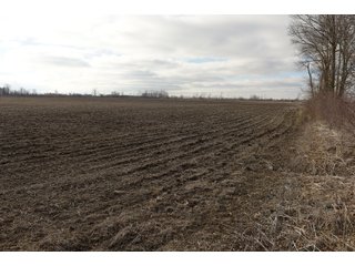 Farmland in Monroe & Washtenaw Counties, Michigan - ***SOLD PRIOR TO AUCTION*** - MICHIGAN LAND AUCTION - 1,436+/- ACRES OFFERED IN 26 TRACTS IN MONROE & WASHTENAW COUNTIES, MICHIGAN