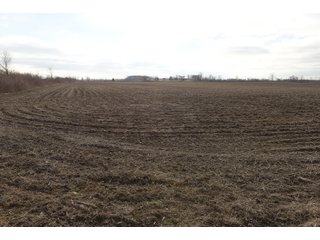Farmland in Monroe & Washtenaw Counties, Michigan - ***SOLD PRIOR TO AUCTION*** - MICHIGAN LAND AUCTION - 1,436+/- ACRES OFFERED IN 26 TRACTS IN MONROE & WASHTENAW COUNTIES, MICHIGAN