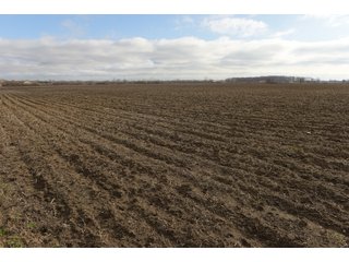 Farmland in Monroe & Washtenaw Counties, Michigan - ***SOLD PRIOR TO AUCTION*** - MICHIGAN LAND AUCTION - 1,436+/- ACRES OFFERED IN 26 TRACTS IN MONROE & WASHTENAW COUNTIES, MICHIGAN
