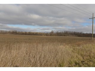 Farmland in Monroe & Washtenaw Counties, Michigan - ***SOLD PRIOR TO AUCTION*** - MICHIGAN LAND AUCTION - 1,436+/- ACRES OFFERED IN 26 TRACTS IN MONROE & WASHTENAW COUNTIES, MICHIGAN