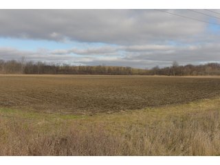 Farmland in Monroe & Washtenaw Counties, Michigan - ***SOLD PRIOR TO AUCTION*** - MICHIGAN LAND AUCTION - 1,436+/- ACRES OFFERED IN 26 TRACTS IN MONROE & WASHTENAW COUNTIES, MICHIGAN