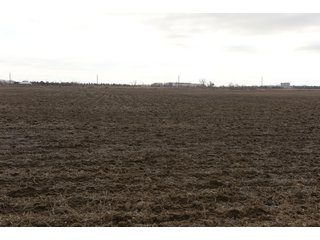 Farmland in Monroe & Washtenaw Counties, Michigan - ***SOLD PRIOR TO AUCTION*** - MICHIGAN LAND AUCTION - 1,436+/- ACRES OFFERED IN 26 TRACTS IN MONROE & WASHTENAW COUNTIES, MICHIGAN