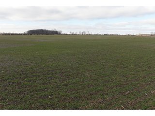 Farmland in Monroe & Washtenaw Counties, Michigan - ***SOLD PRIOR TO AUCTION*** - MICHIGAN LAND AUCTION - 1,436+/- ACRES OFFERED IN 26 TRACTS IN MONROE & WASHTENAW COUNTIES, MICHIGAN