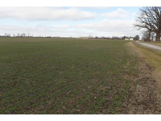 Farmland in Monroe & Washtenaw Counties, Michigan - ***SOLD PRIOR TO AUCTION*** - MICHIGAN LAND AUCTION - 1,436+/- ACRES OFFERED IN 26 TRACTS IN MONROE & WASHTENAW COUNTIES, MICHIGAN