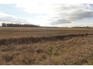 Farmland in Monroe & Washtenaw Counties, Michigan - ***SOLD PRIOR TO AUCTION*** - MICHIGAN LAND AUCTION - 1,436+/- ACRES OFFERED IN 26 TRACTS IN MONROE & WASHTENAW COUNTIES, MICHIGAN