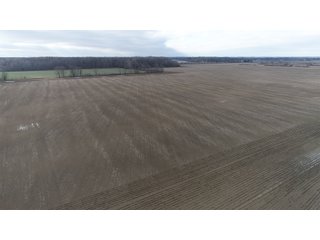 Farmland in Monroe & Washtenaw Counties, Michigan - ***SOLD PRIOR TO AUCTION*** - MICHIGAN LAND AUCTION - 1,436+/- ACRES OFFERED IN 26 TRACTS IN MONROE & WASHTENAW COUNTIES, MICHIGAN