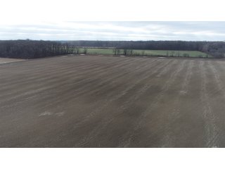 Farmland in Monroe & Washtenaw Counties, Michigan - ***SOLD PRIOR TO AUCTION*** - MICHIGAN LAND AUCTION - 1,436+/- ACRES OFFERED IN 26 TRACTS IN MONROE & WASHTENAW COUNTIES, MICHIGAN