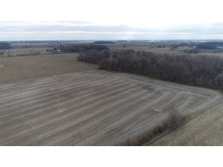 Farmland in Monroe & Washtenaw Counties, Michigan - ***SOLD PRIOR TO AUCTION*** - MICHIGAN LAND AUCTION - 1,436+/- ACRES OFFERED IN 26 TRACTS IN MONROE & WASHTENAW COUNTIES, MICHIGAN