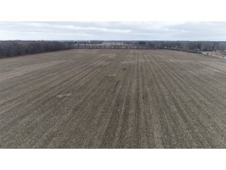 Farmland in Monroe & Washtenaw Counties, Michigan - ***SOLD PRIOR TO AUCTION*** - MICHIGAN LAND AUCTION - 1,436+/- ACRES OFFERED IN 26 TRACTS IN MONROE & WASHTENAW COUNTIES, MICHIGAN