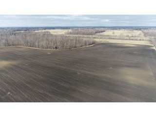 Farmland in Monroe & Washtenaw Counties, Michigan - ***SOLD PRIOR TO AUCTION*** - MICHIGAN LAND AUCTION - 1,436+/- ACRES OFFERED IN 26 TRACTS IN MONROE & WASHTENAW COUNTIES, MICHIGAN