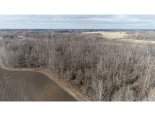 Farmland in Monroe & Washtenaw Counties, Michigan - ***SOLD PRIOR TO AUCTION*** - MICHIGAN LAND AUCTION - 1,436+/- ACRES OFFERED IN 26 TRACTS IN MONROE & WASHTENAW COUNTIES, MICHIGAN