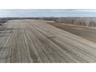 Farmland in Monroe & Washtenaw Counties, Michigan - ***SOLD PRIOR TO AUCTION*** - MICHIGAN LAND AUCTION - 1,436+/- ACRES OFFERED IN 26 TRACTS IN MONROE & WASHTENAW COUNTIES, MICHIGAN