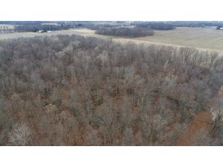 Farmland in Monroe & Washtenaw Counties, Michigan - ***SOLD PRIOR TO AUCTION*** - MICHIGAN LAND AUCTION - 1,436+/- ACRES OFFERED IN 26 TRACTS IN MONROE & WASHTENAW COUNTIES, MICHIGAN