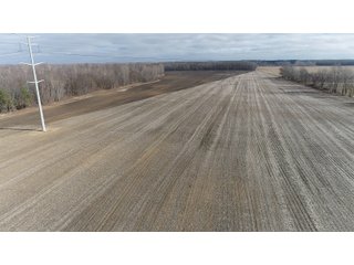 Farmland in Monroe & Washtenaw Counties, Michigan - ***SOLD PRIOR TO AUCTION*** - MICHIGAN LAND AUCTION - 1,436+/- ACRES OFFERED IN 26 TRACTS IN MONROE & WASHTENAW COUNTIES, MICHIGAN